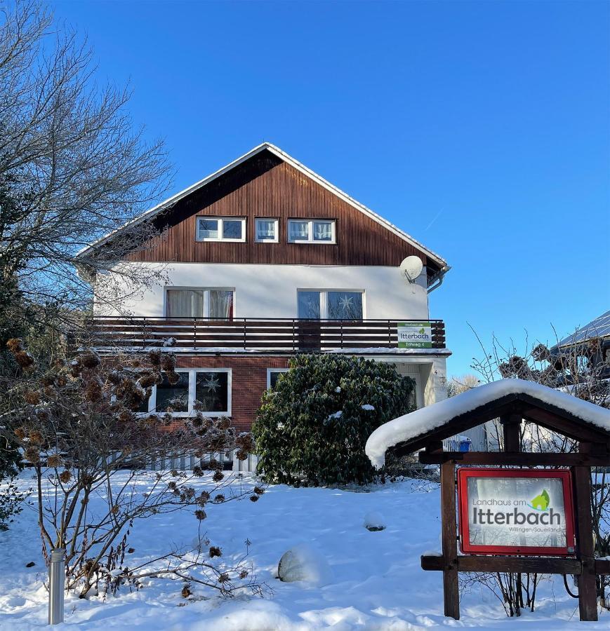 Landhaus Am Itterbach Willingen Willingen  Eksteriør billede
